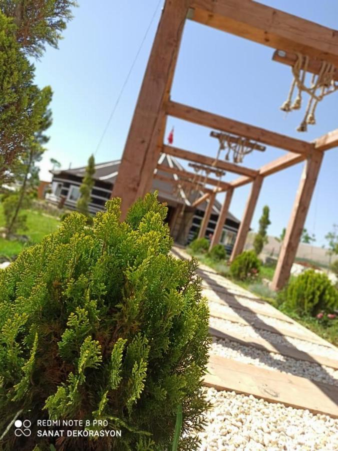 Gobeklitepe Cadir Saray Hotel Sanlıurfa Buitenkant foto