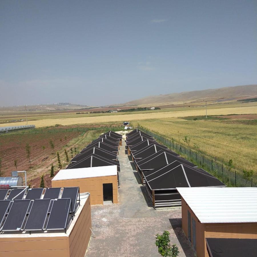 Gobeklitepe Cadir Saray Hotel Sanlıurfa Buitenkant foto